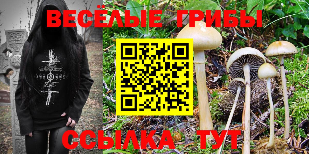 Галлюциногенные грибы Cubensis  Вход с VPN  как найти наркотики  Лиски  Псилоцибиновые грибы Cubensis 